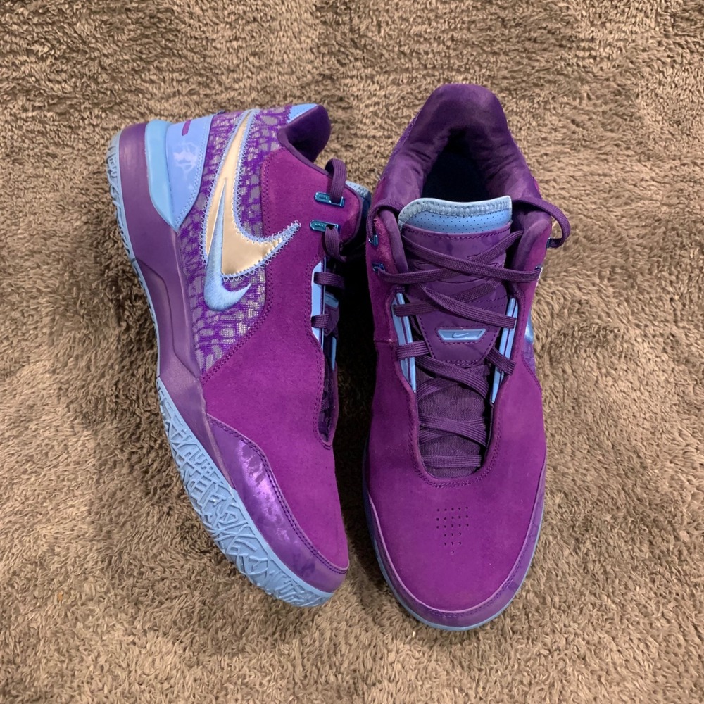Nike Zoom LeBron NXXT Gen AMPD Violet Mist Purple Blue‎ FJ1566-500 Mens 13